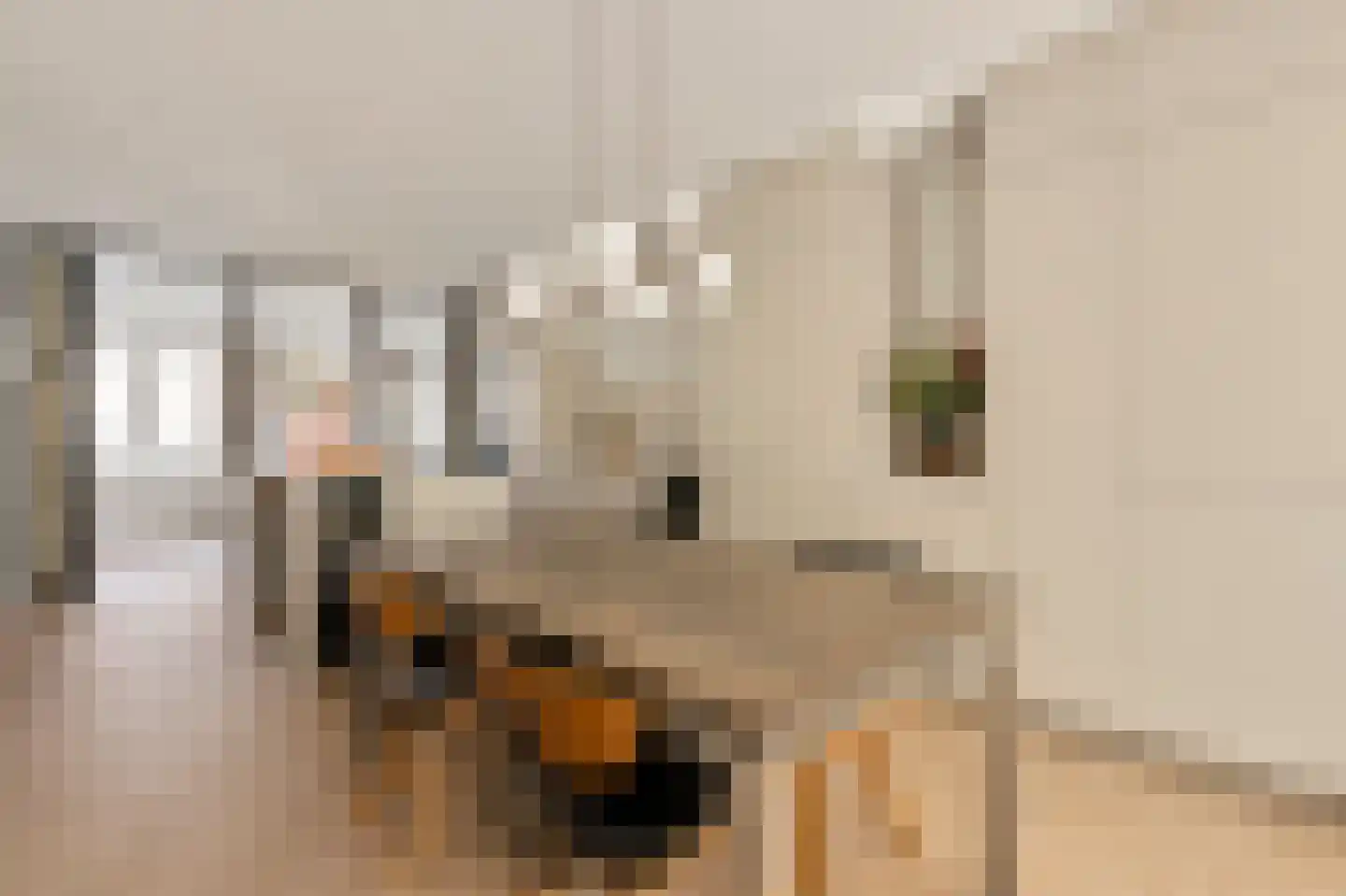 Van Spilbergenstraat 41 H Amsterdam thumbnail 13