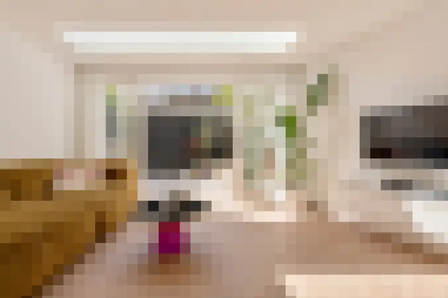 Van Spilbergenstraat 41 H Amsterdam thumbnail 5