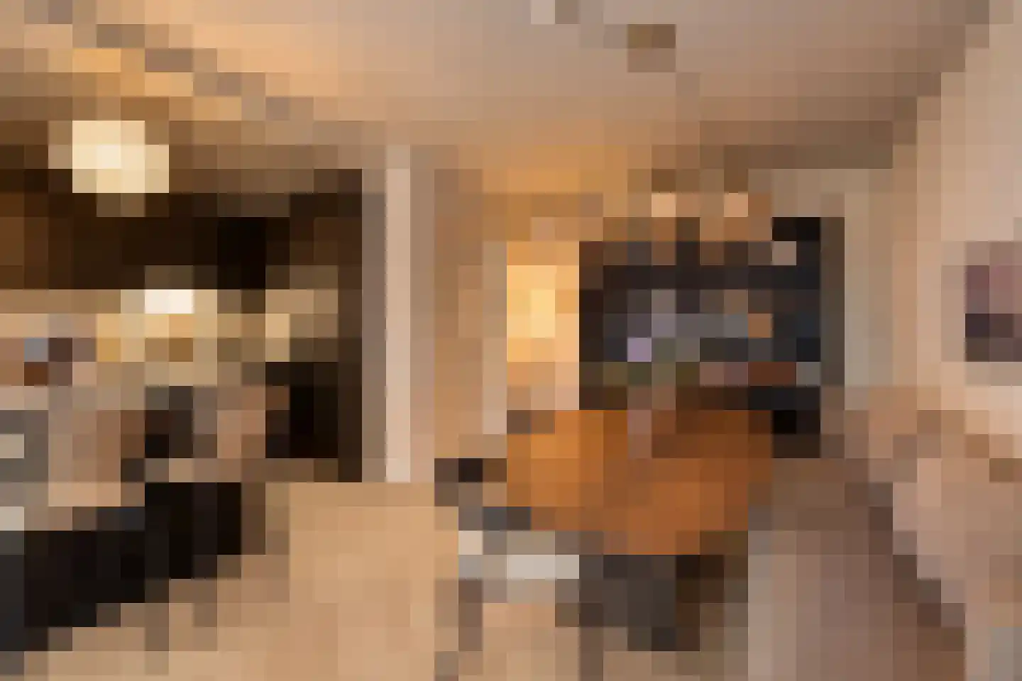 Van Spilbergenstraat 49 H Amsterdam thumbnail 12