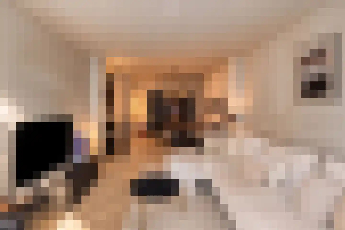 Van Spilbergenstraat 49 H Amsterdam thumbnail 17