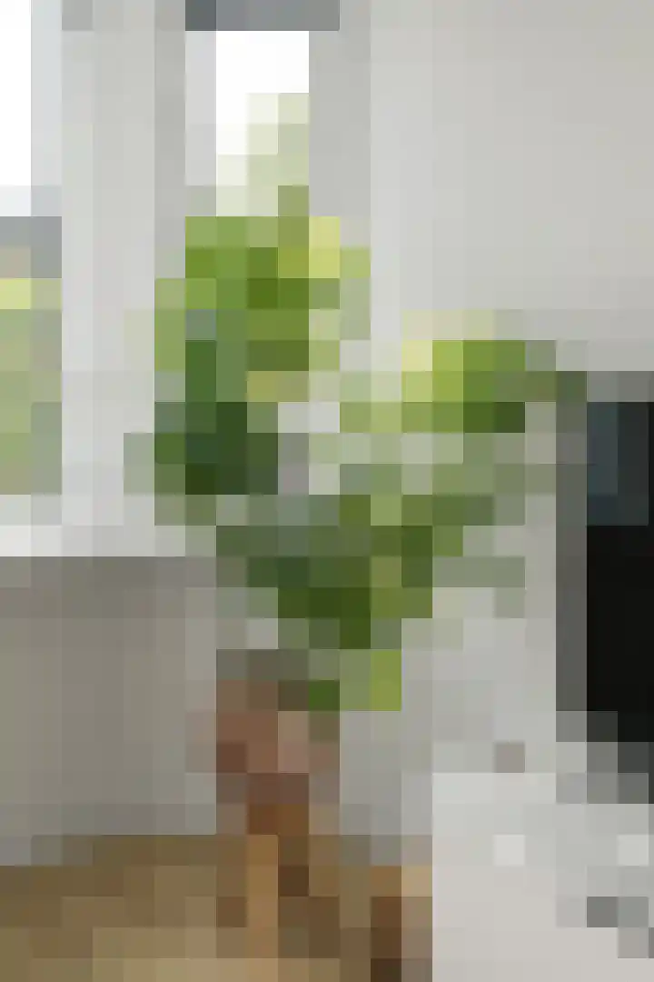 Van Spilbergenstraat 7 H Amsterdam thumbnail 8