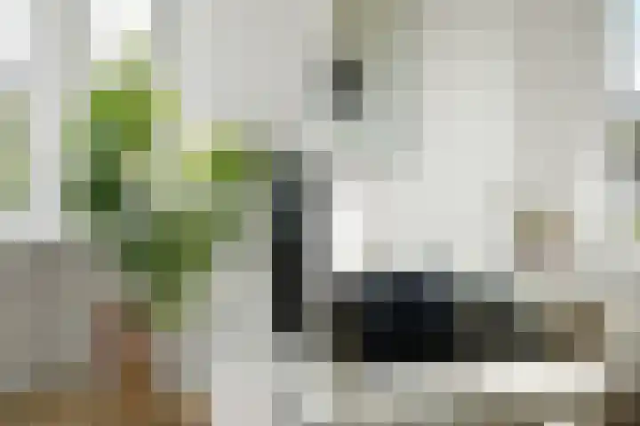 Van Spilbergenstraat 7 H Amsterdam thumbnail 9