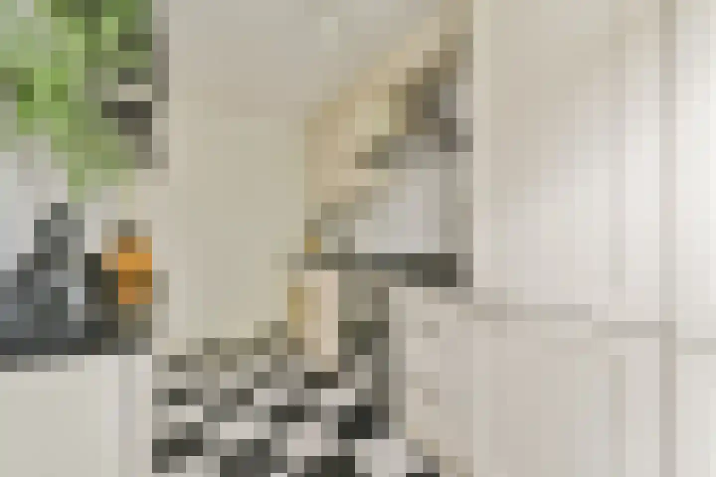 Van Spilbergenstraat 70 1 Amsterdam thumbnail 12