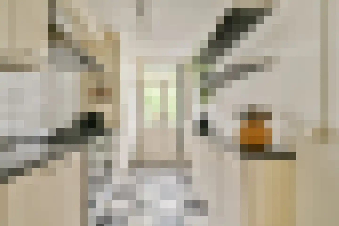 Van Spilbergenstraat 70 3 Amsterdam thumbnail 10