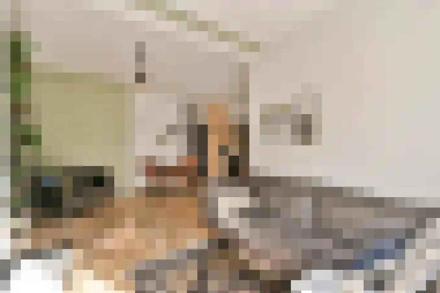 Van Spilbergenstraat 75 2 Amsterdam thumbnail 7