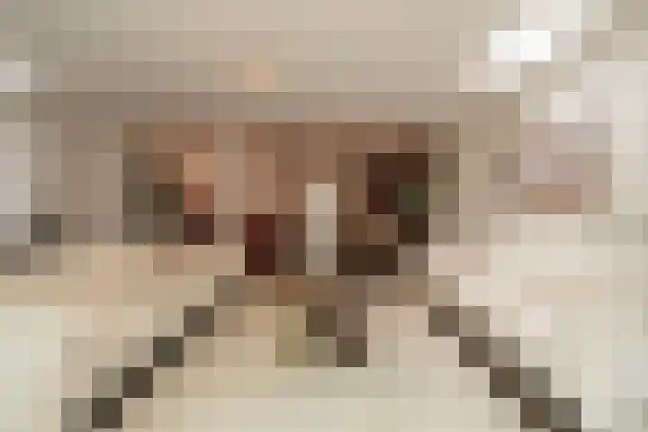 Van Spilbergenstraat 88 2 Amsterdam thumbnail 10