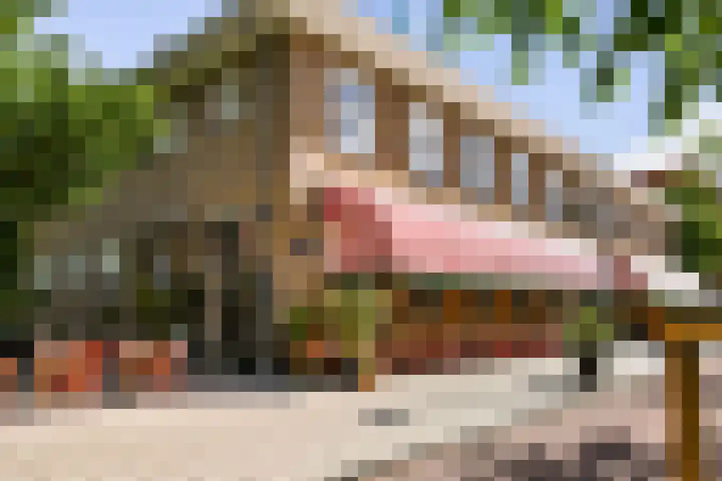 Van Spilbergenstraat 9 1 Amsterdam thumbnail 20