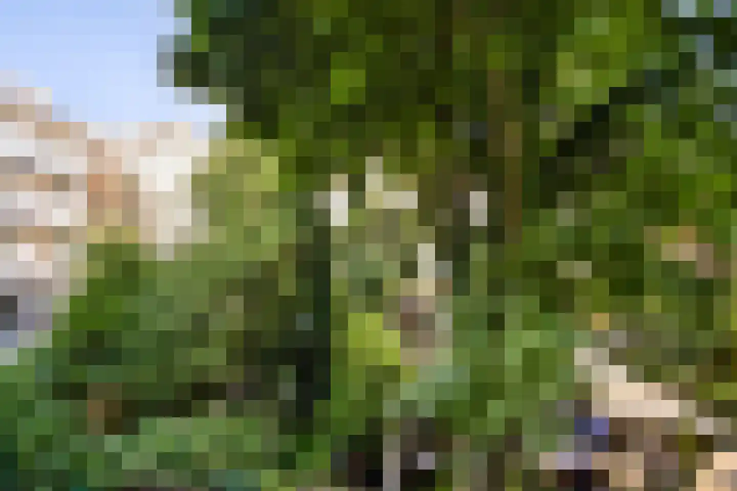 Van Spilbergenstraat 9 1 Amsterdam thumbnail 9