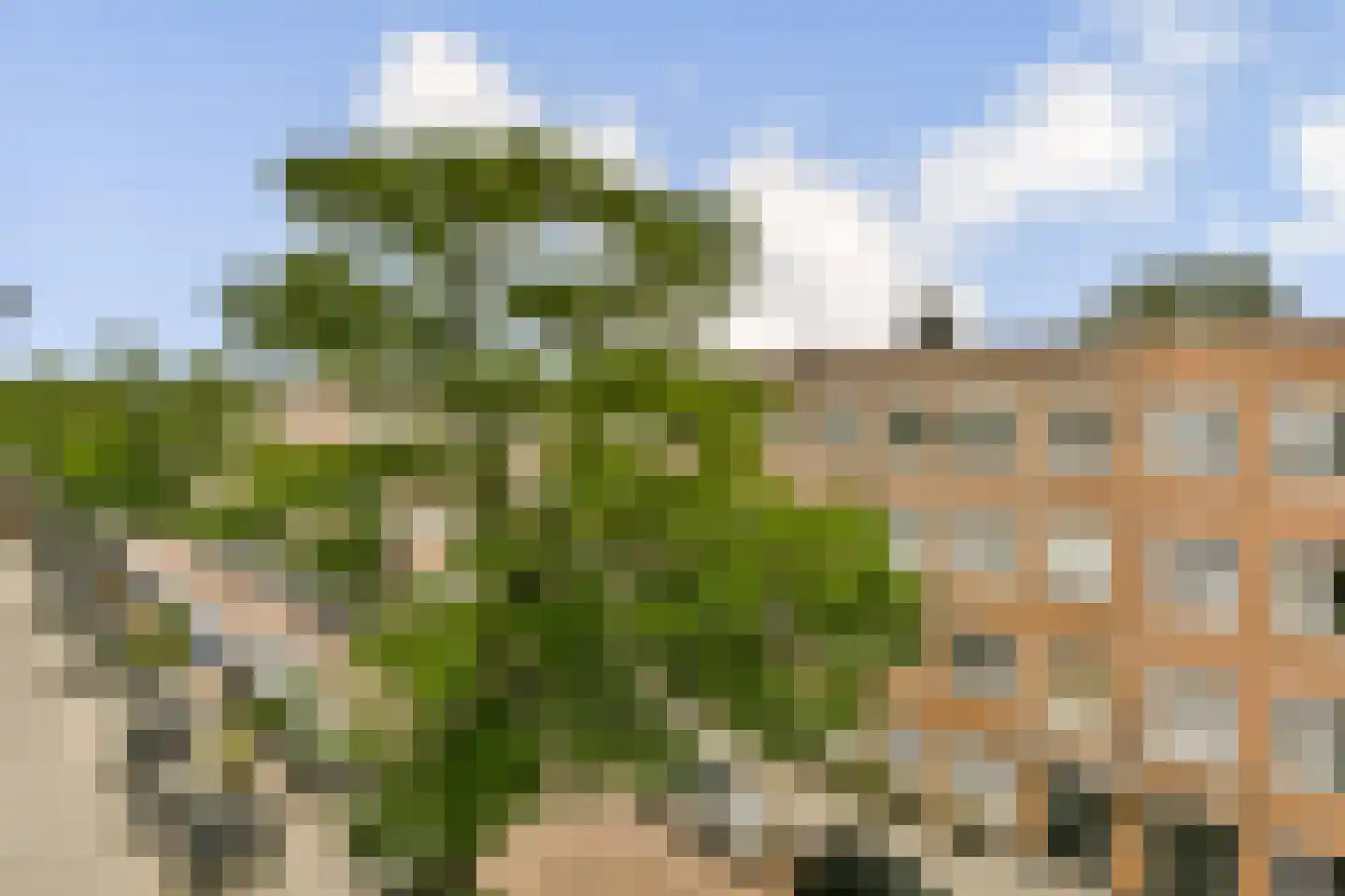 Van Spilbergenstraat 9 3 Amsterdam thumbnail 6