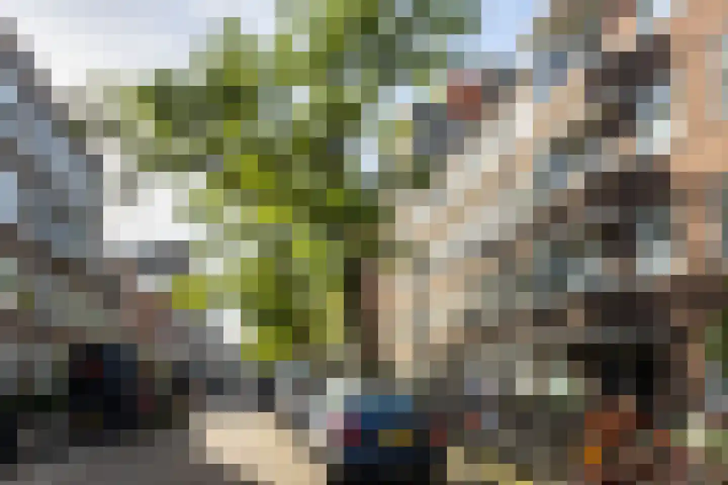 Van Spilbergenstraat 91 Amsterdam thumbnail 28