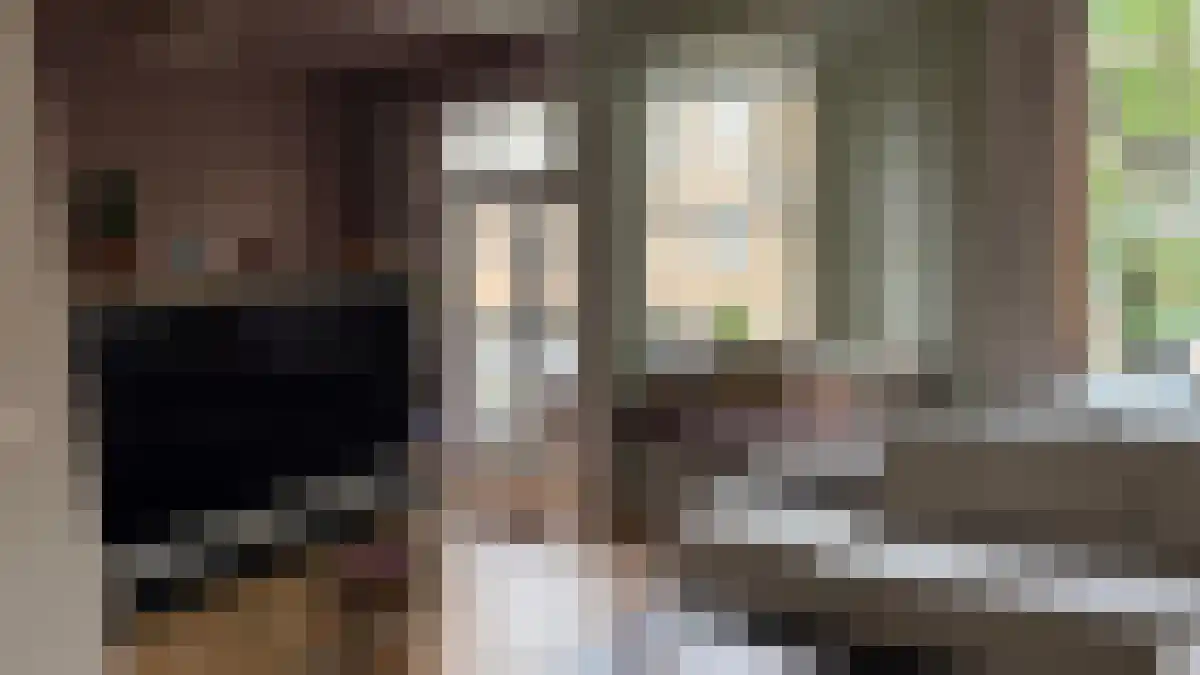 Van Spilbergenstraat 93 A Amsterdam thumbnail 5