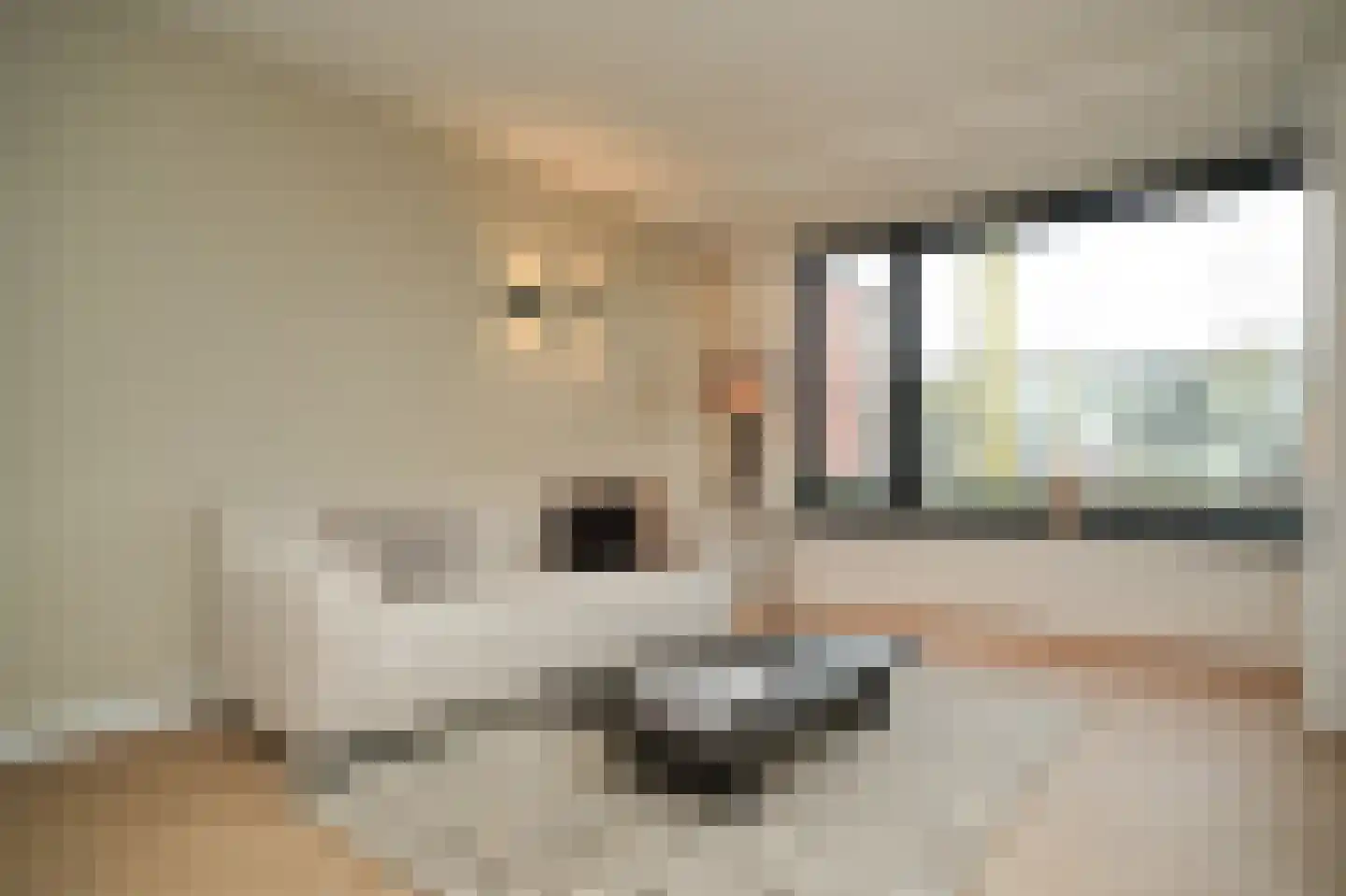 Van Spreeuwelstraat 13 Hilvarenbeek thumbnail 17