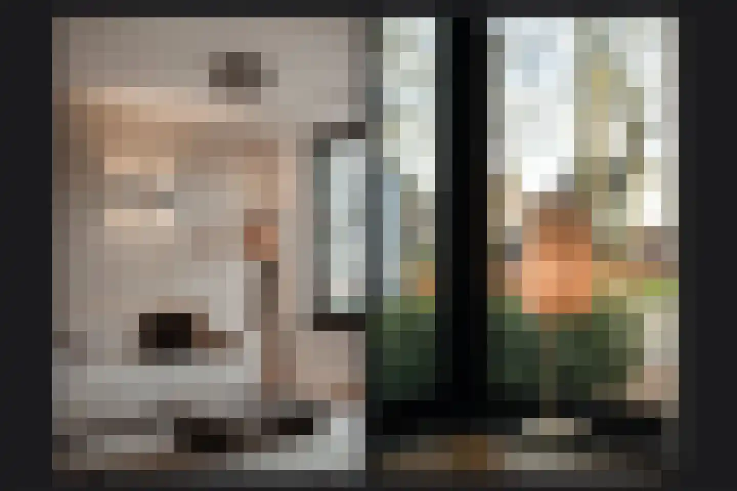 Van Spreeuwelstraat 13 Hilvarenbeek thumbnail 19