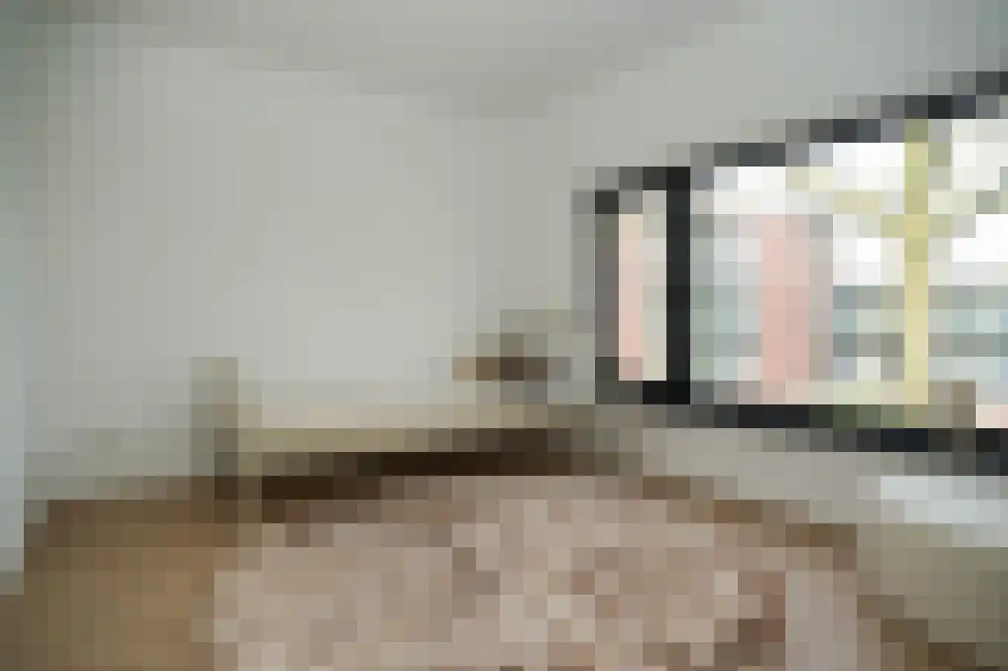 Van Spreeuwelstraat 13 Hilvarenbeek thumbnail 30