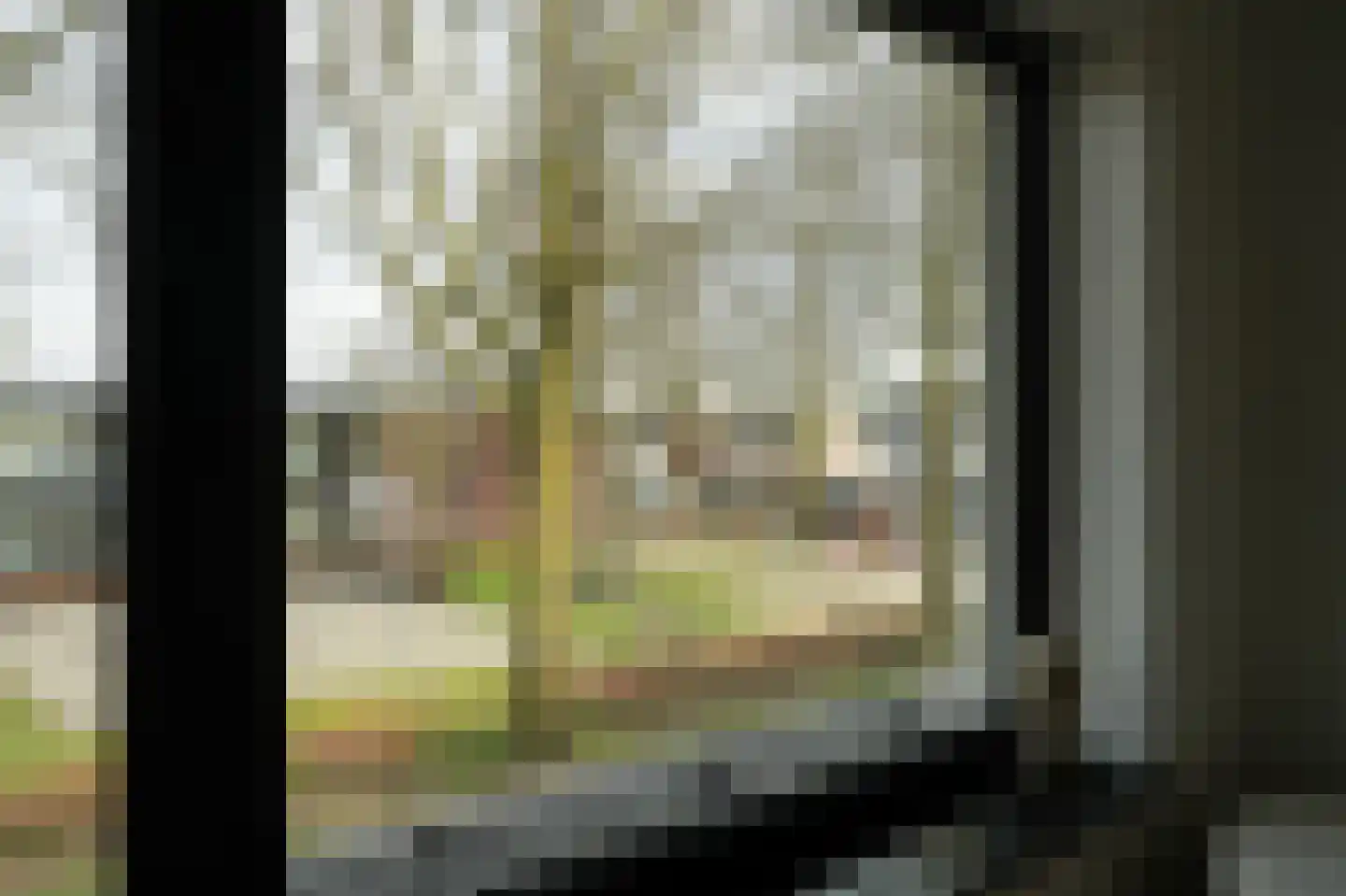 Van Spreeuwelstraat 13 Hilvarenbeek thumbnail 32