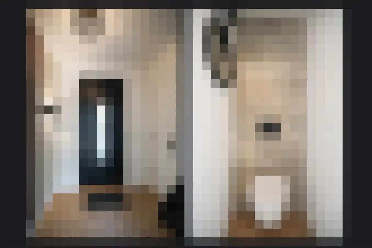 Van Spreeuwelstraat 13 Hilvarenbeek thumbnail 4