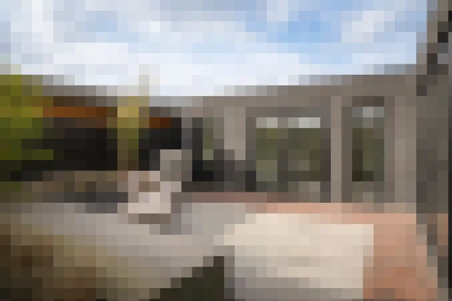 Van Spreeuwelstraat 13 Hilvarenbeek thumbnail 42