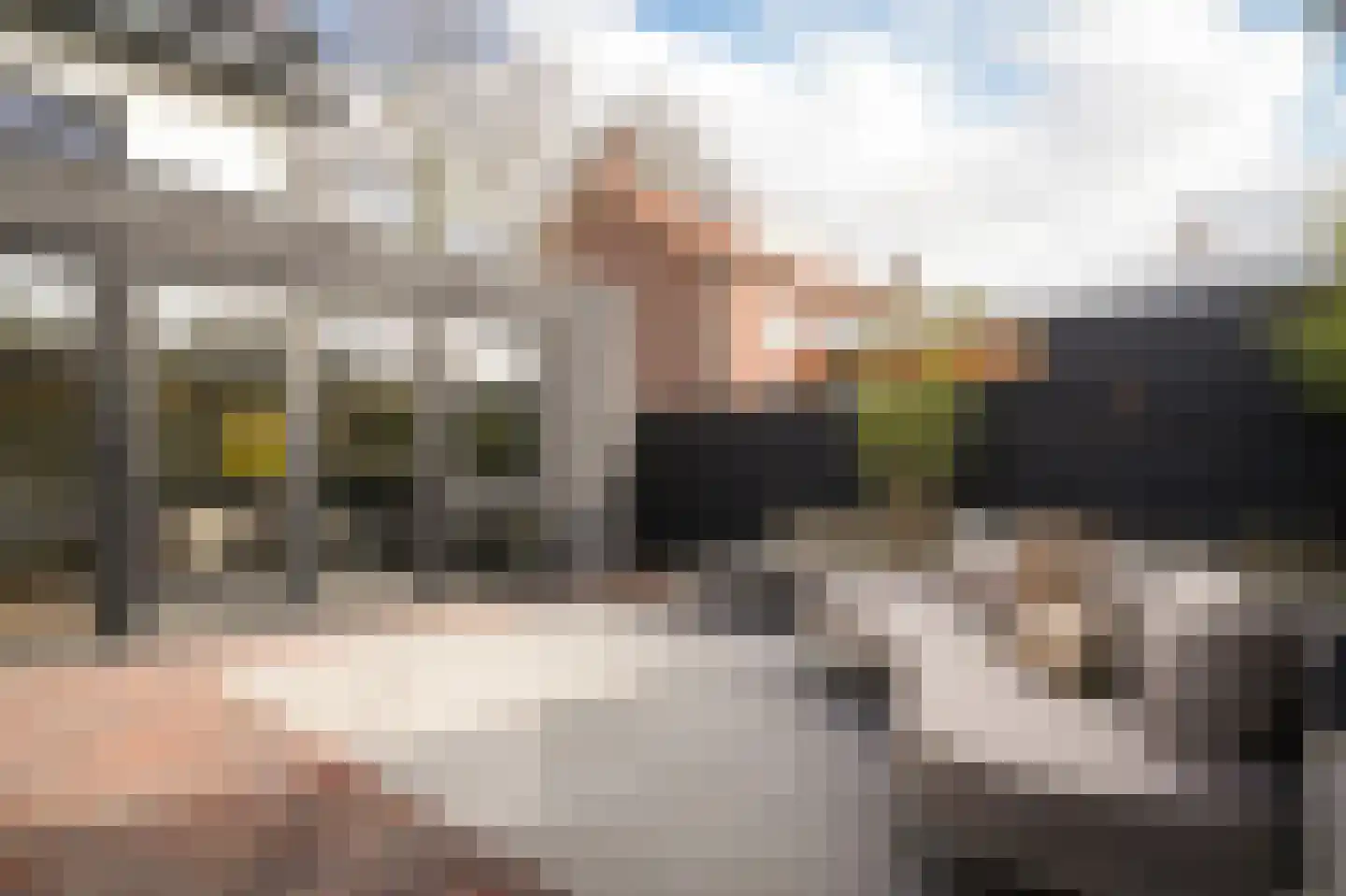 Van Spreeuwelstraat 13 Hilvarenbeek thumbnail 44