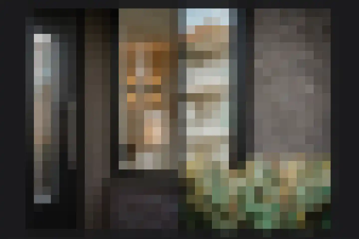 Van Spreeuwelstraat 13 Hilvarenbeek thumbnail 46