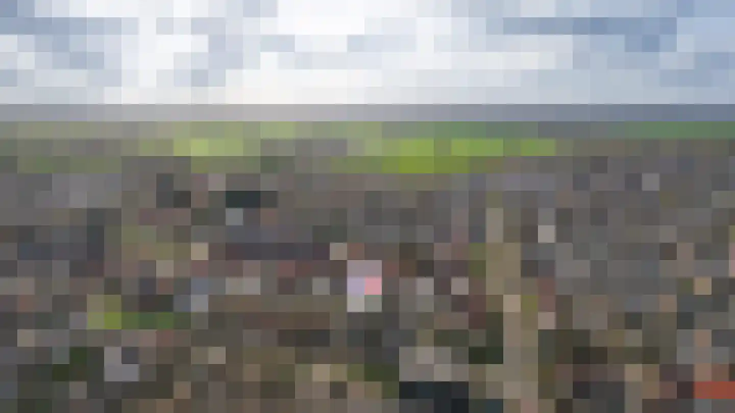 Van Spreeuwelstraat 13 Hilvarenbeek thumbnail 47