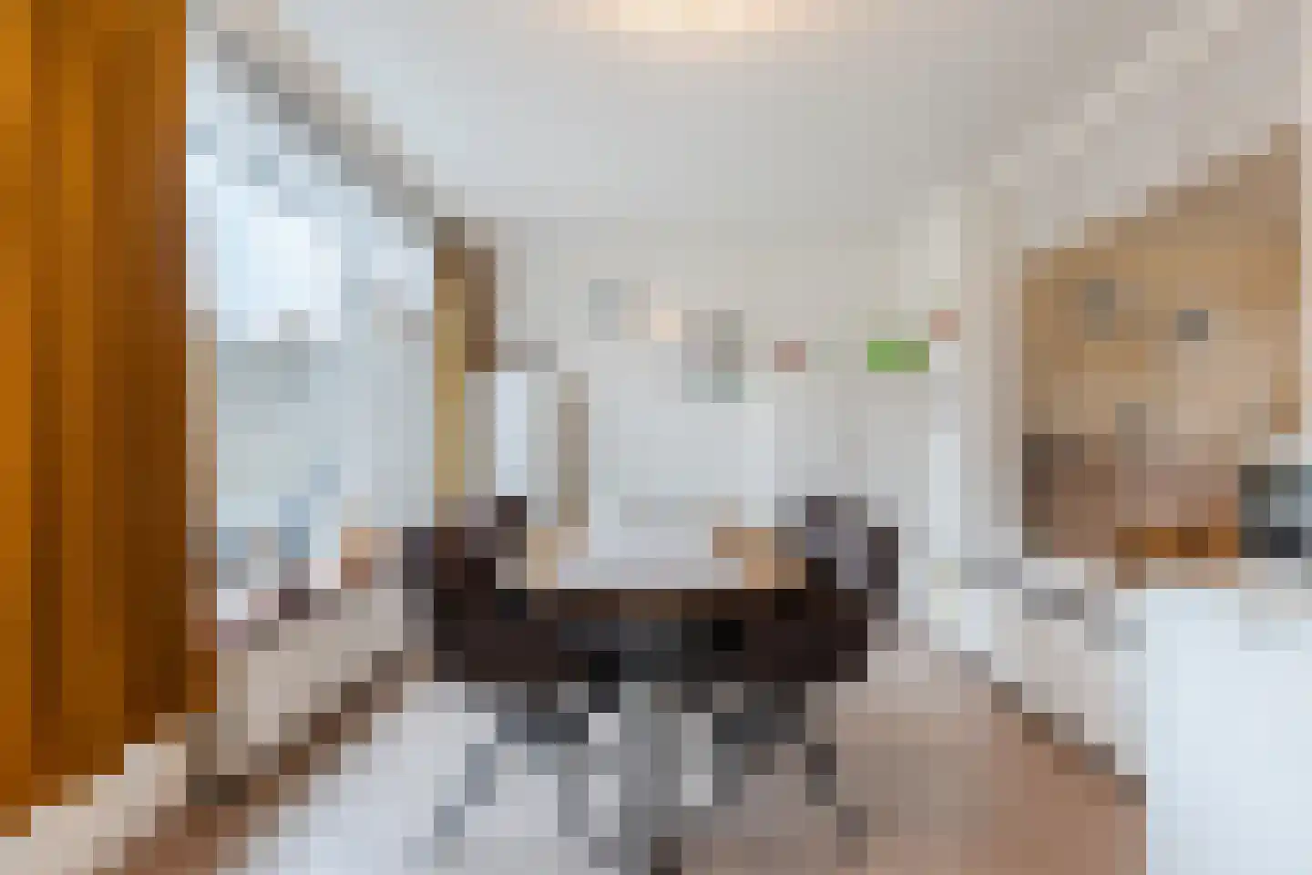 Van Spreeuwelstraat 17 Hilvarenbeek thumbnail 10