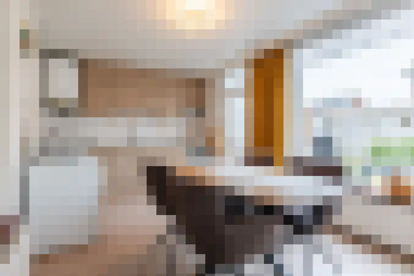 Van Spreeuwelstraat 17 Hilvarenbeek thumbnail 11