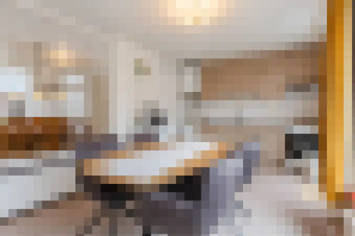 Van Spreeuwelstraat 17 Hilvarenbeek thumbnail 12