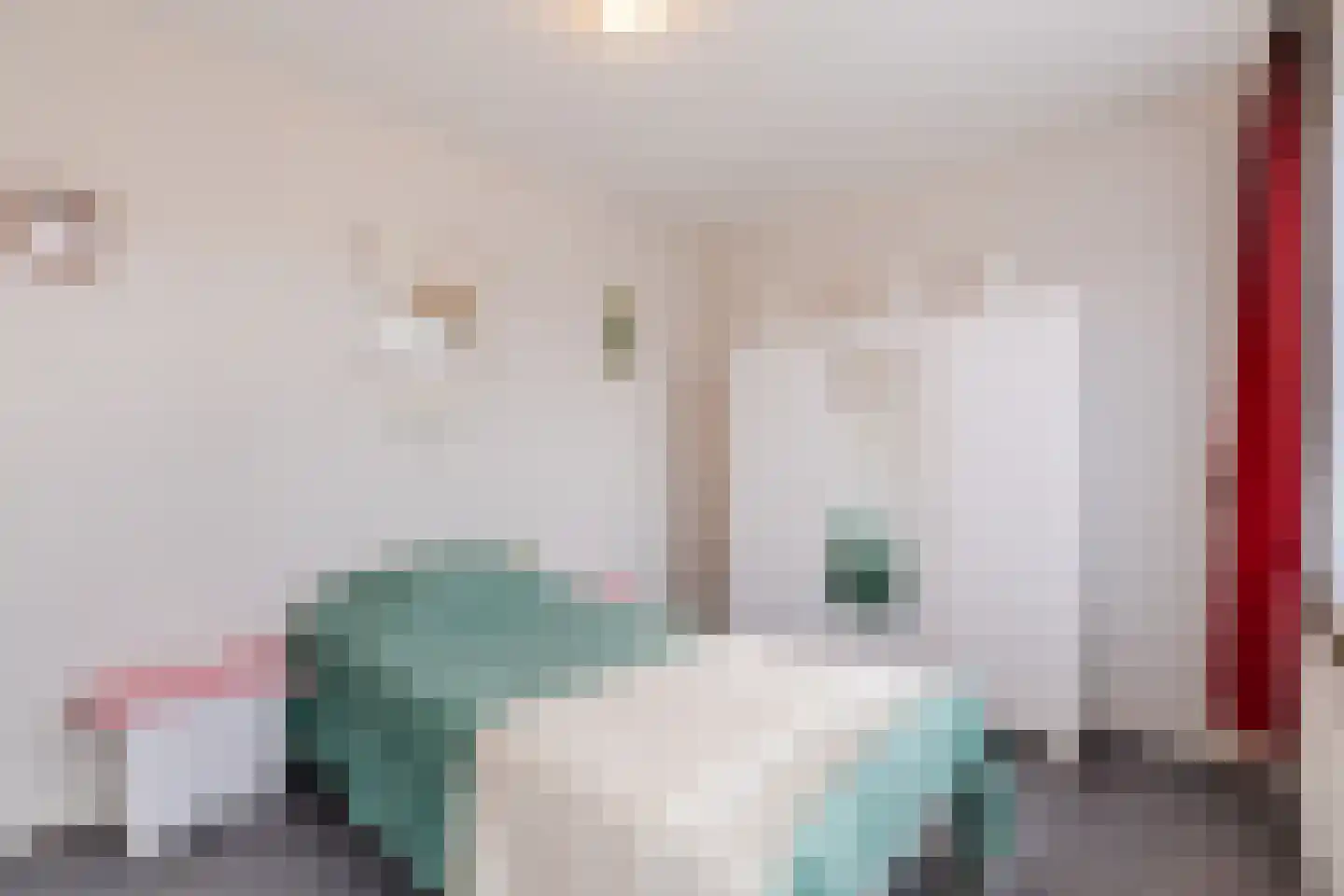 Van Spreeuwelstraat 17 Hilvarenbeek thumbnail 21