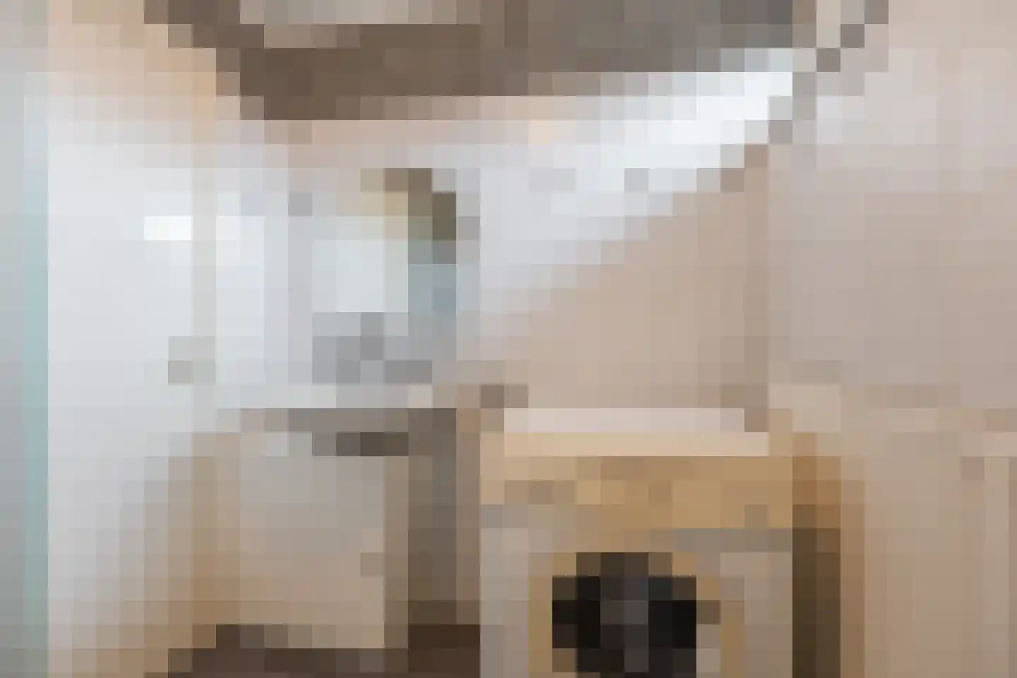 Van Spreeuwelstraat 17 Hilvarenbeek thumbnail 26