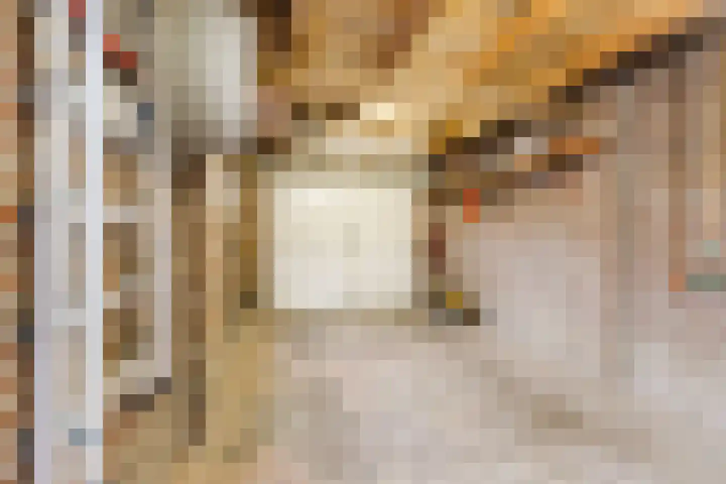 Van Spreeuwelstraat 17 Hilvarenbeek thumbnail 30