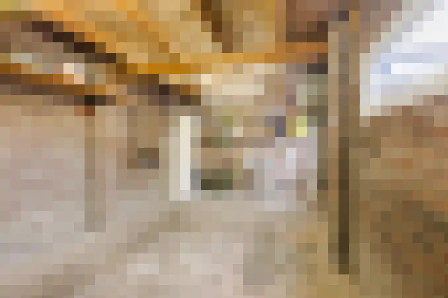 Van Spreeuwelstraat 17 Hilvarenbeek thumbnail 31