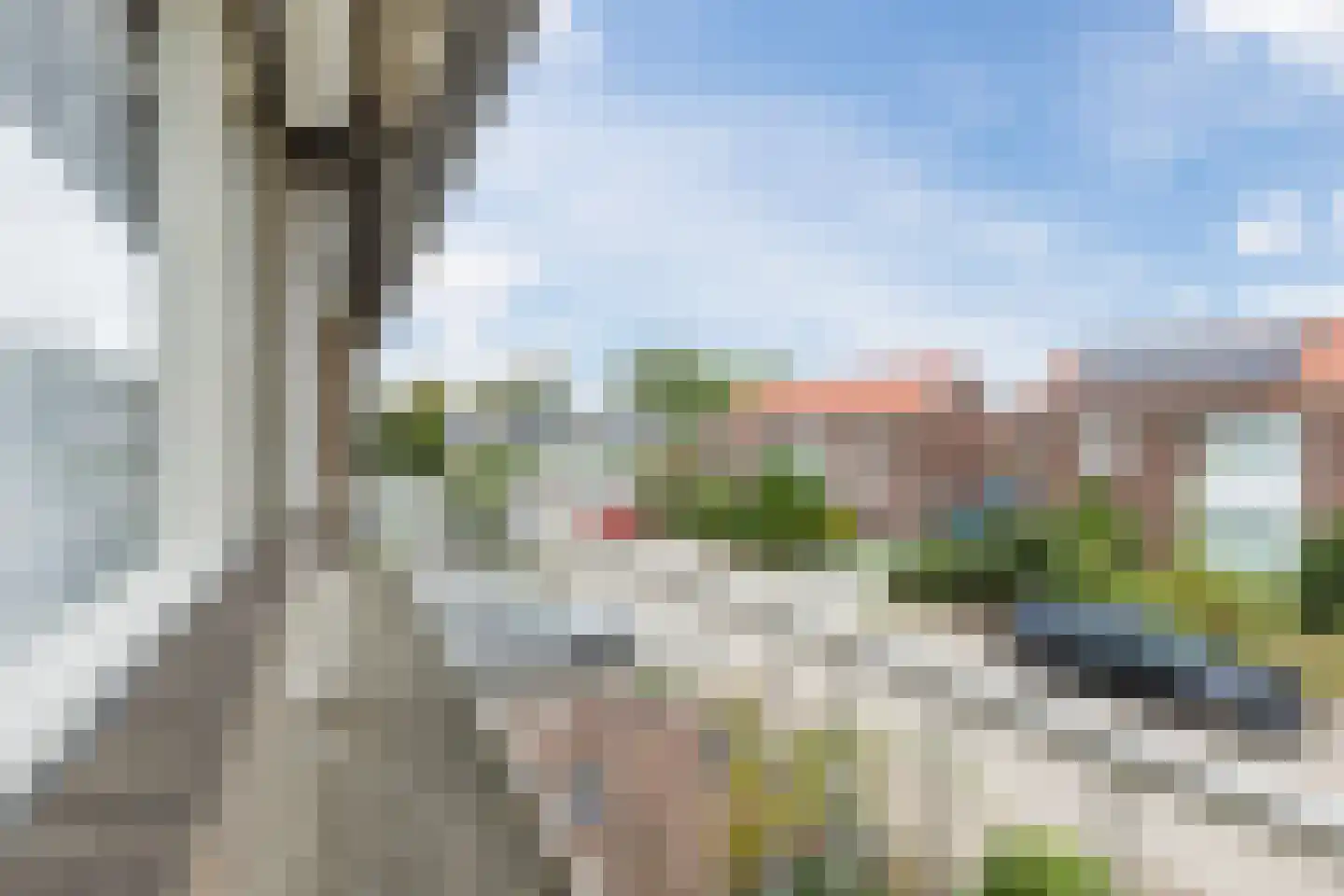 Van Spreeuwelstraat 17 Hilvarenbeek thumbnail 32