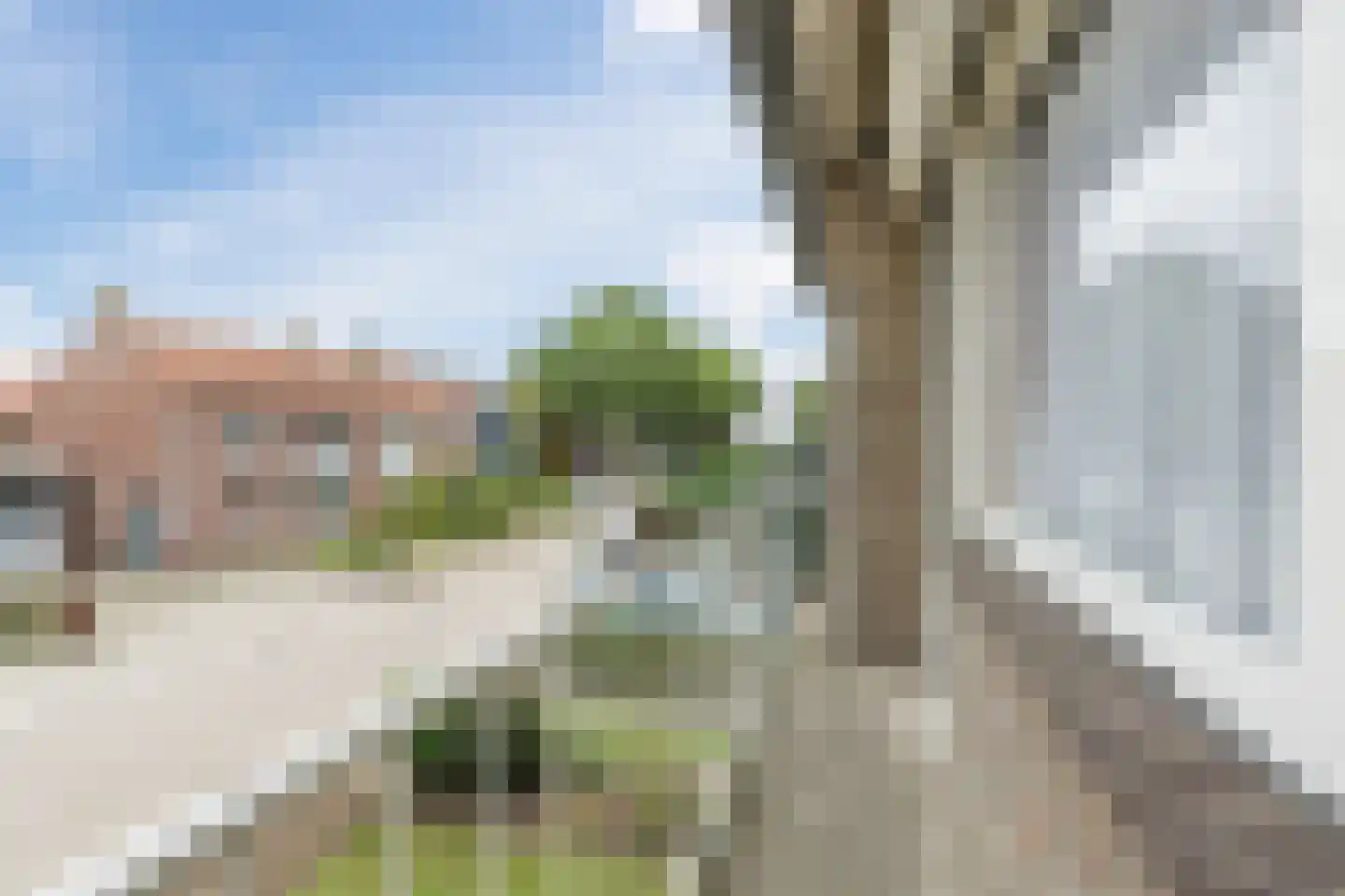 Van Spreeuwelstraat 17 Hilvarenbeek thumbnail 33