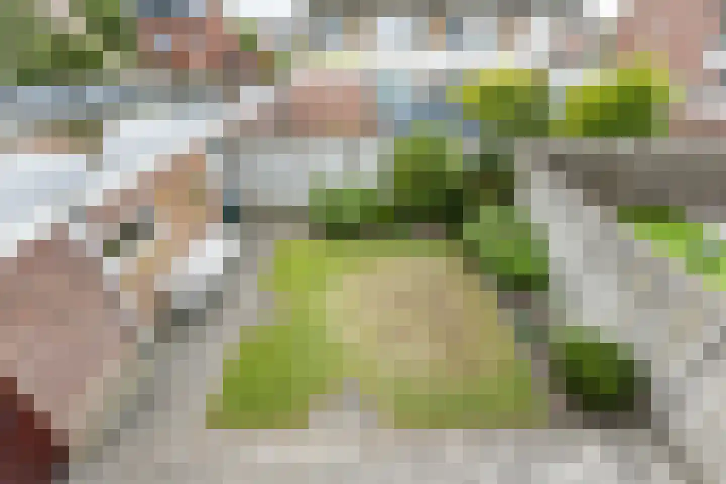 Van Spreeuwelstraat 17 Hilvarenbeek thumbnail 38