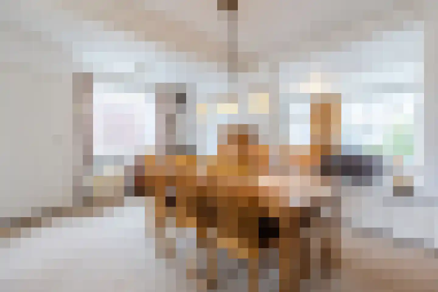 Van Spreeuwelstraat 17 Hilvarenbeek thumbnail 6