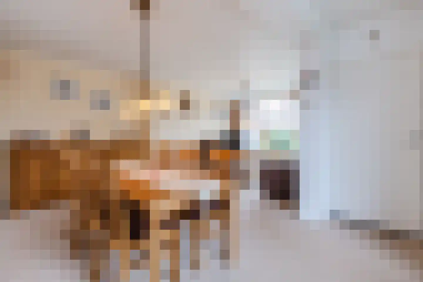 Van Spreeuwelstraat 17 Hilvarenbeek thumbnail 8