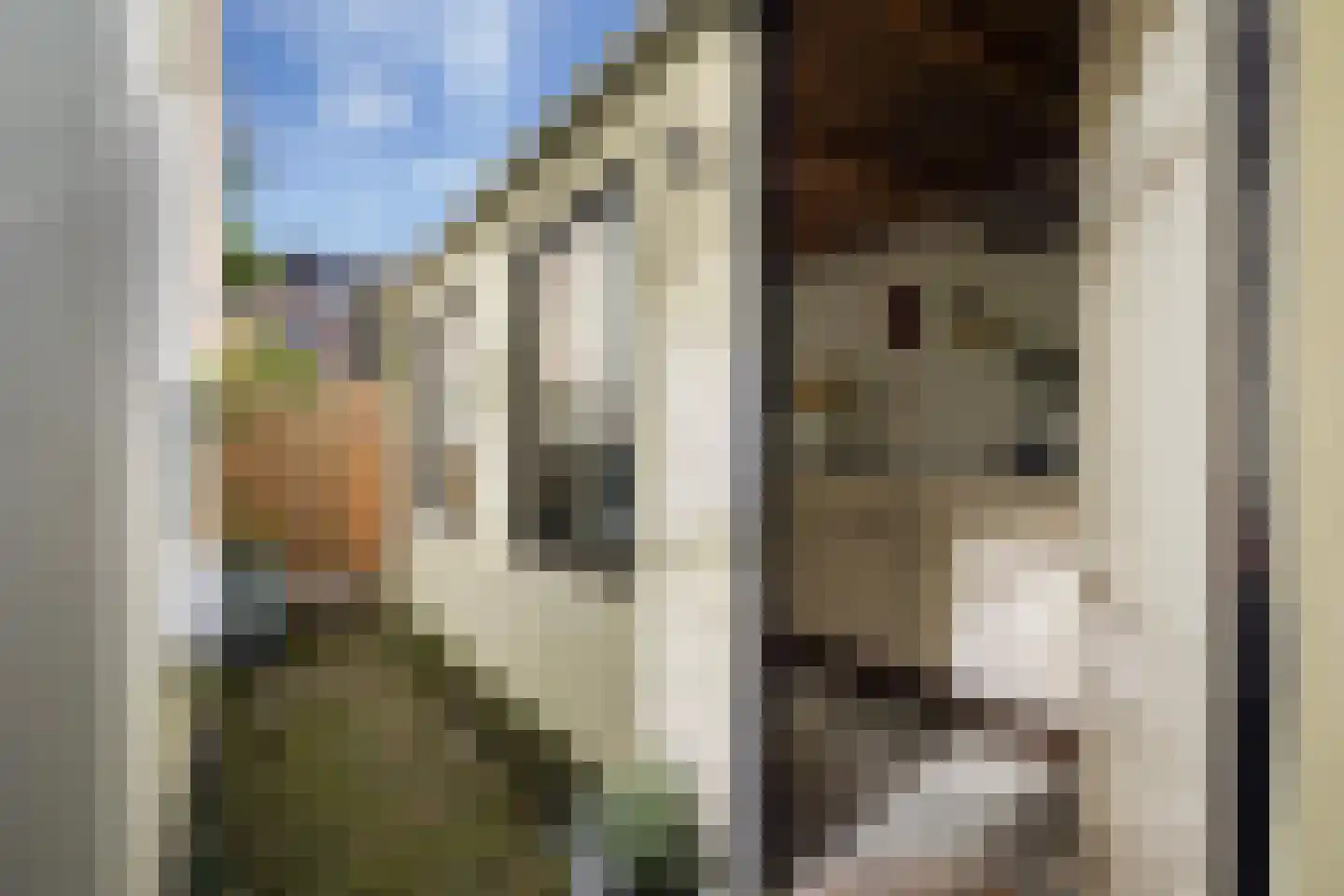 Van St. Aldegondeplein 44 Den Haag thumbnail 30