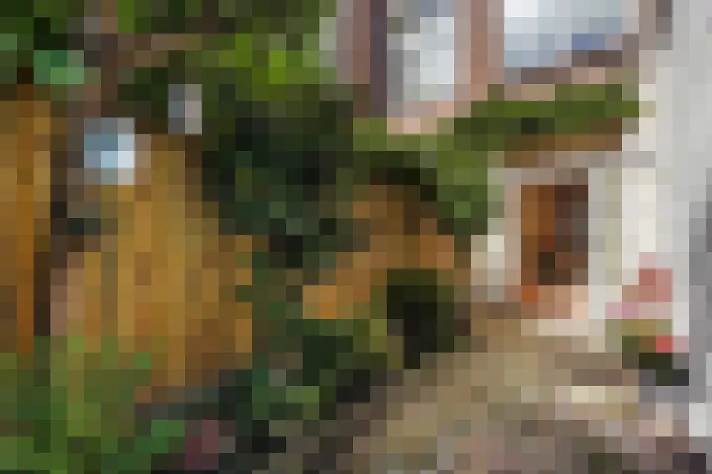 Van St. Aldegondeplein 44 Den Haag thumbnail 34