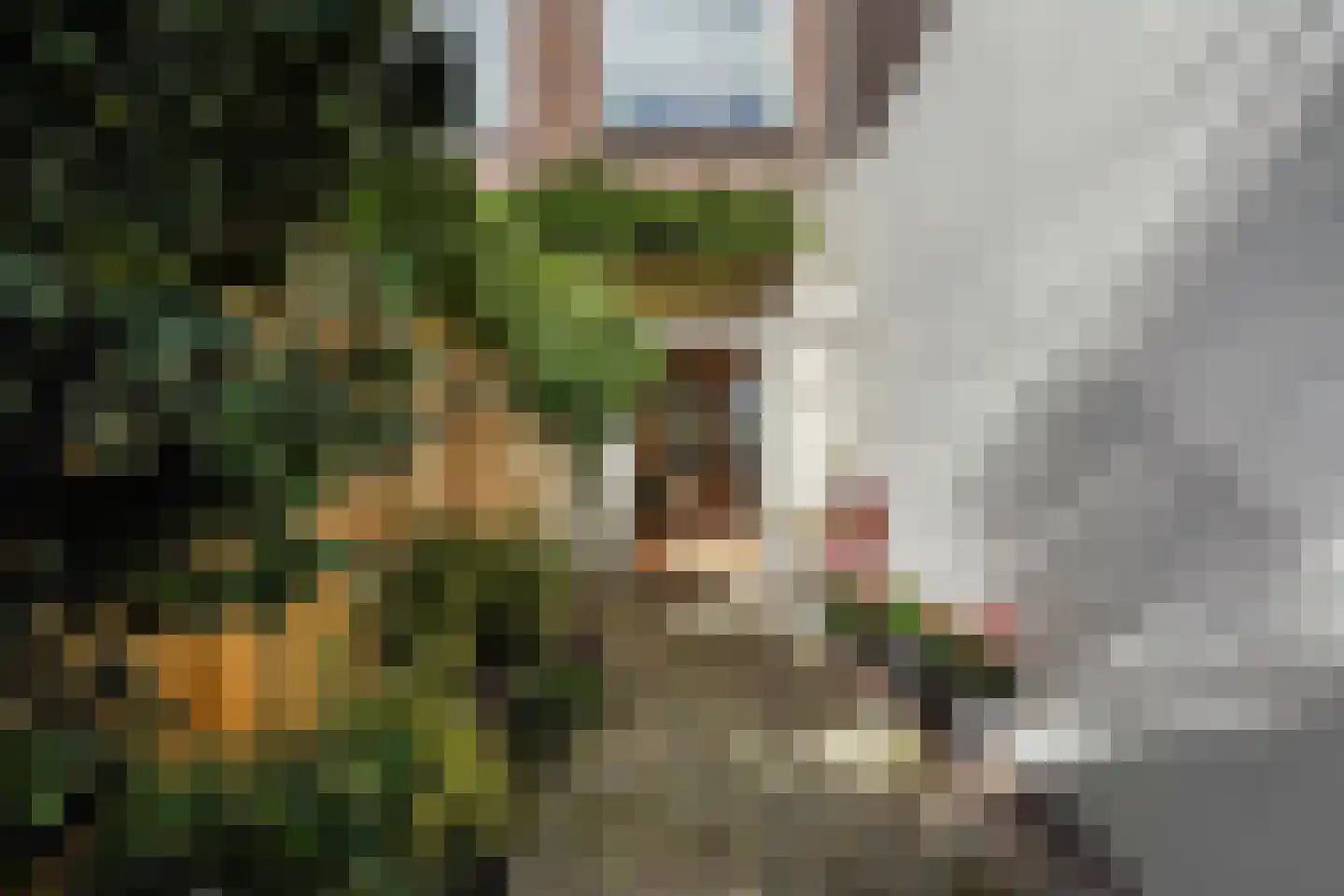 Van St. Aldegondeplein 44 Den Haag thumbnail 35