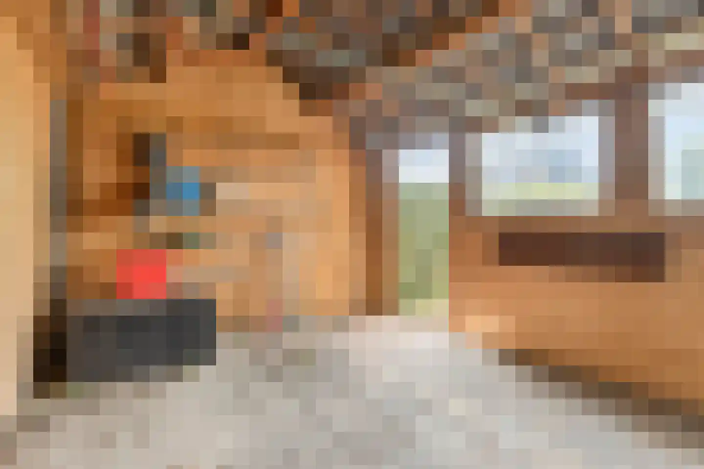 Van Stalbergenstraat 2 Oploo thumbnail 35
