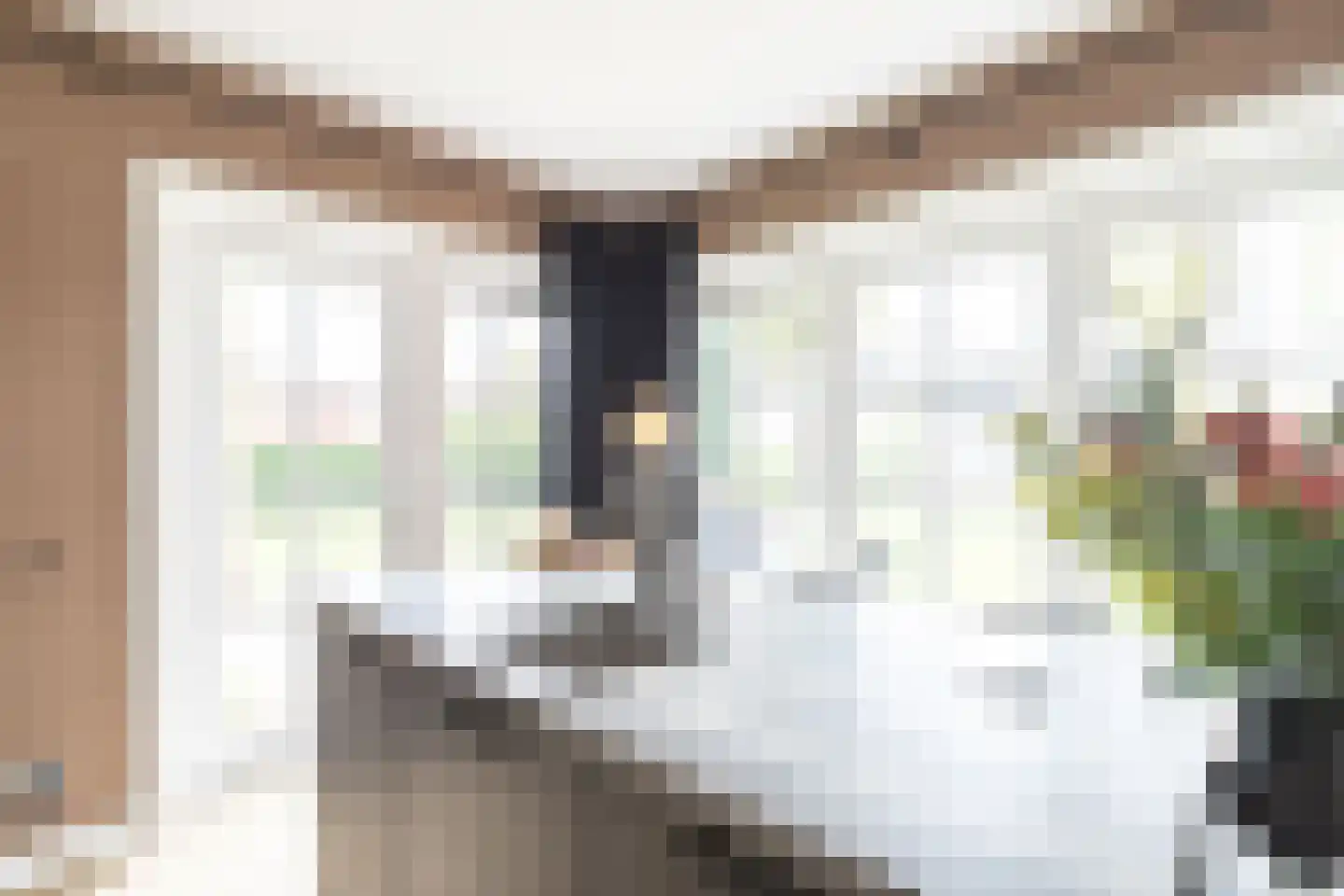van Starkenborghkan Nz 11 Noordhorn thumbnail 18