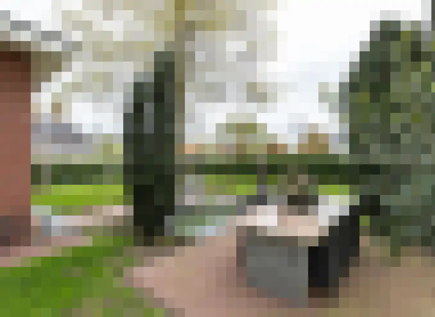 van Starkenborghkan Nz 11 Noordhorn thumbnail 20