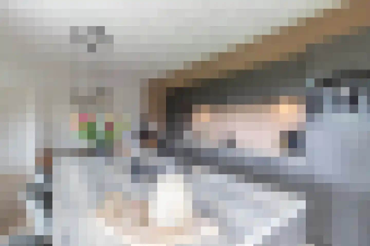 van Starkenborghkan Nz 11 Noordhorn thumbnail 26