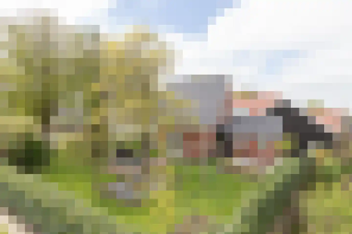 van Starkenborghkan Nz 11 Noordhorn thumbnail 4