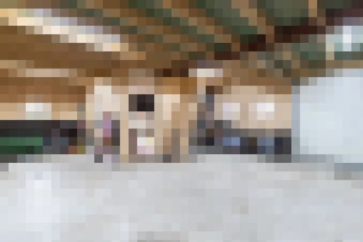 van Starkenborghkan Nz 11 Noordhorn thumbnail 43