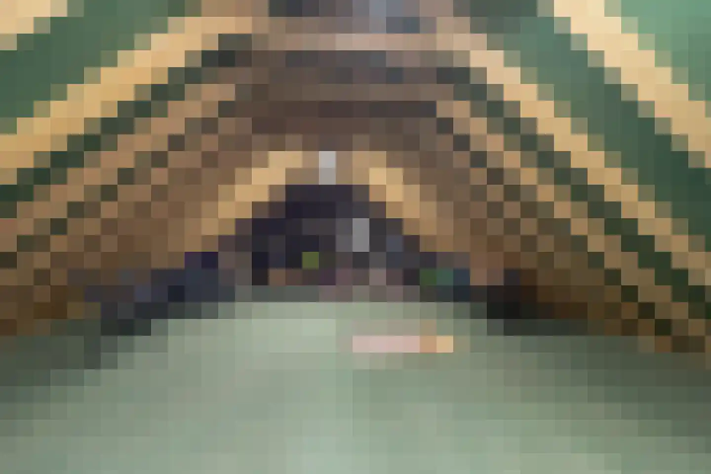 van Starkenborghkan Nz 11 Noordhorn thumbnail 44