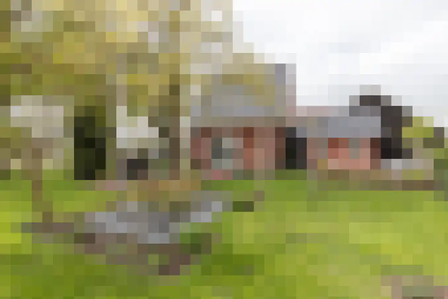 van Starkenborghkan Nz 11 Noordhorn thumbnail 5