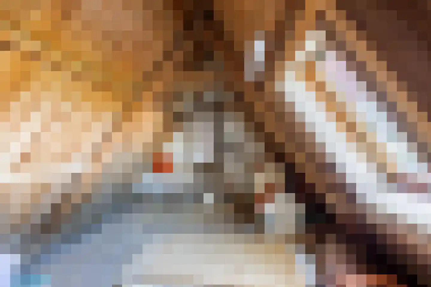 van Starkenborghkan Nz 15 Noordhorn thumbnail 28