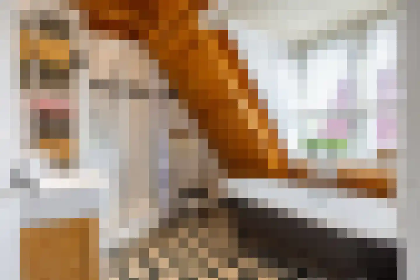 van Starkenborghkan Nz 15 Noordhorn thumbnail 35