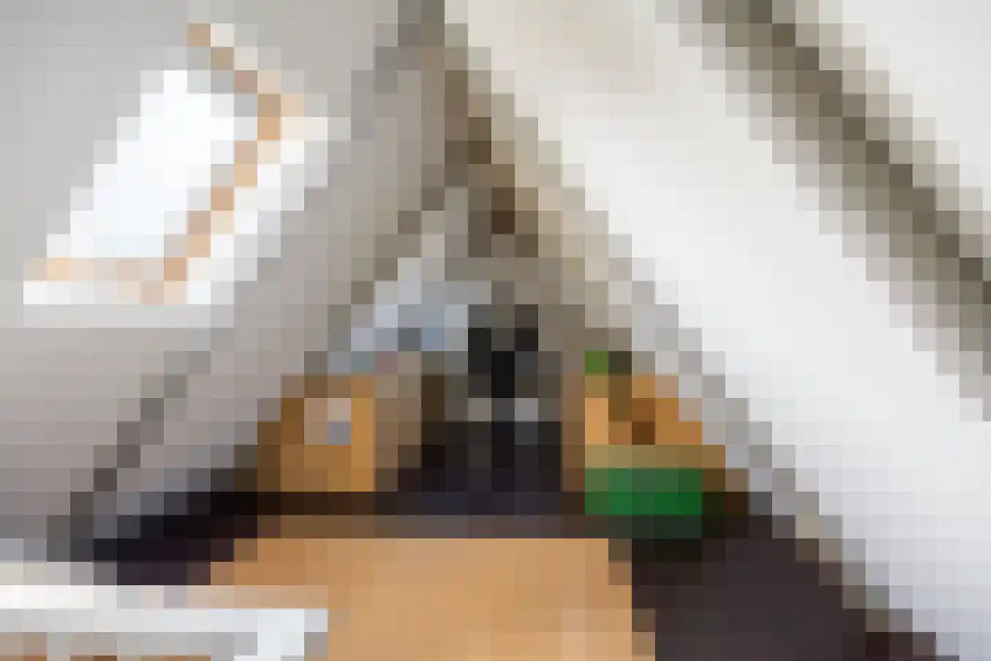 van Starkenborghkan Nz 15 Noordhorn thumbnail 37